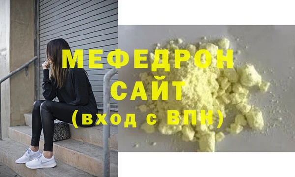 сатива Новозыбков