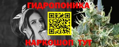 дурь Гусев