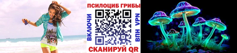 купить наркотик  Котовск  Псилоцибиновые грибы ЛСД 