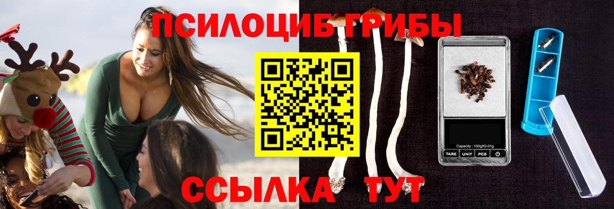 Псилоцибиновые грибы мухоморы  Вход с VPN  Галлюциногенные грибы ЛСД  купить закладку  Котовск 